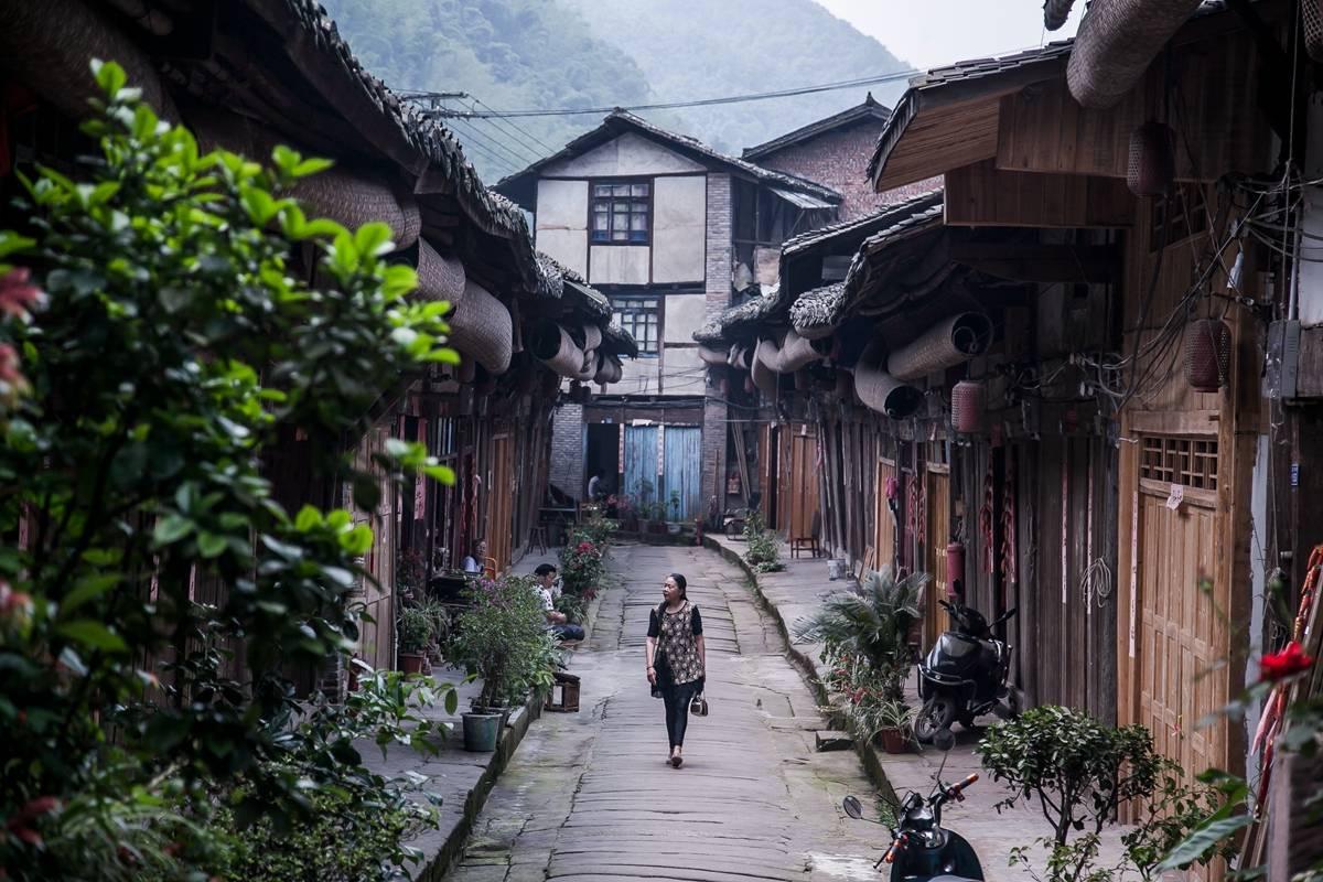 燃烧吧大脑免广告最新版